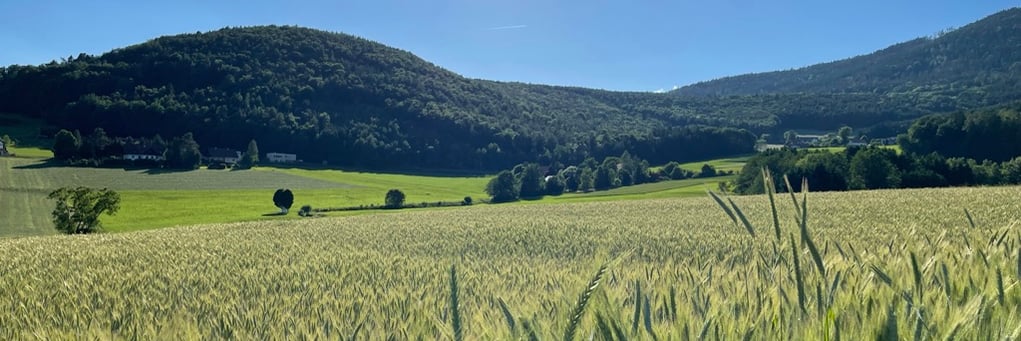 Sanfte Hügel der Graz-Umgebung — Tanjas eigene Landschaftsaufnahme aus der Steiermark